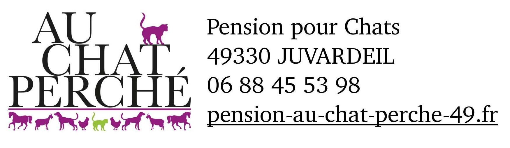 Logo chat perche